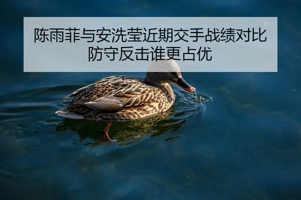 陈雨菲与安洗莹近期交手战绩对比 防守反击谁更占优