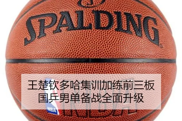 王楚钦多哈集训加练前三板 国乒男单备战全面升级